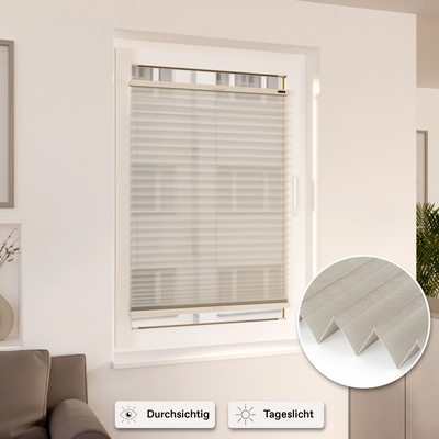 Stores plissés | Transparence et lumière du jour