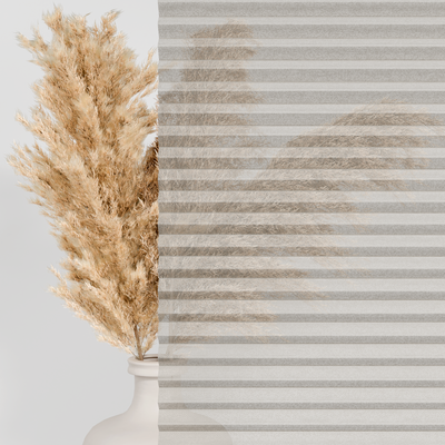 Stores plissés | Transparence et lumière du jour
