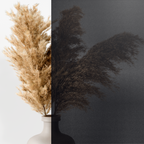 Stoffmuster Bild für Außenrollo - Stoffart Durchsichtig mit 10% Transparenz