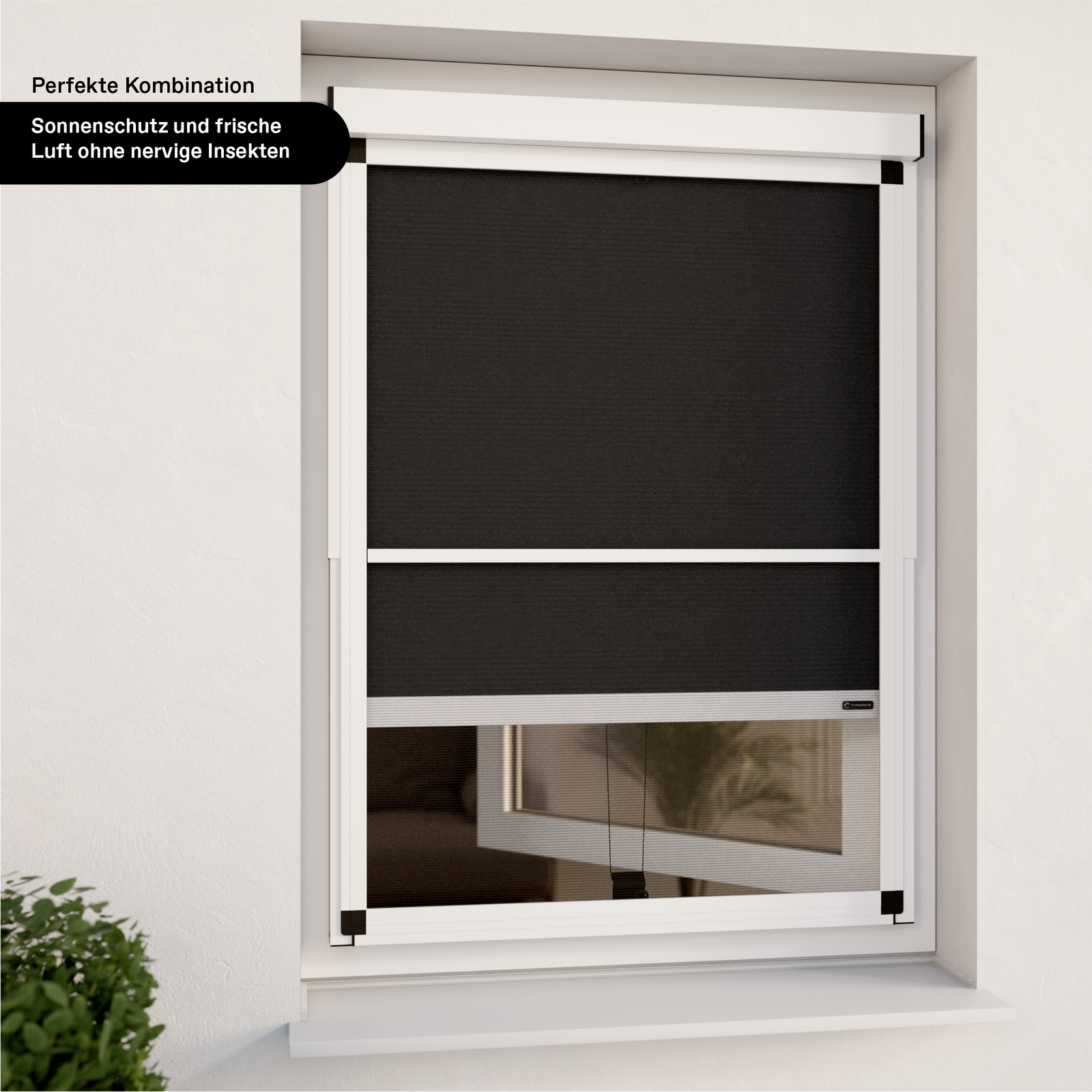 Kombinationsbild Außenrollo weiß an einer modernen Fassade inklusive Insektenschutz Festrahmen